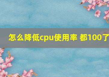 怎么降低cpu使用率 都100了